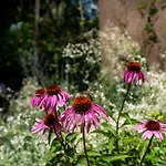 Holiday home Historic Garden Retreat